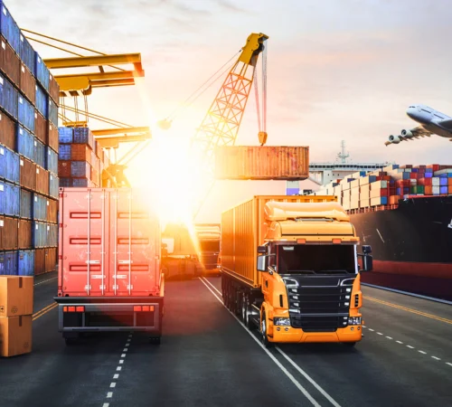 tailored multinational transport